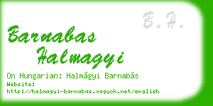 barnabas halmagyi business card