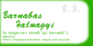 barnabas halmagyi business card